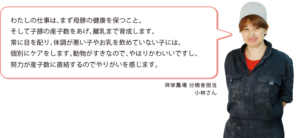 祥栄農場 分娩舎担当 小林さん