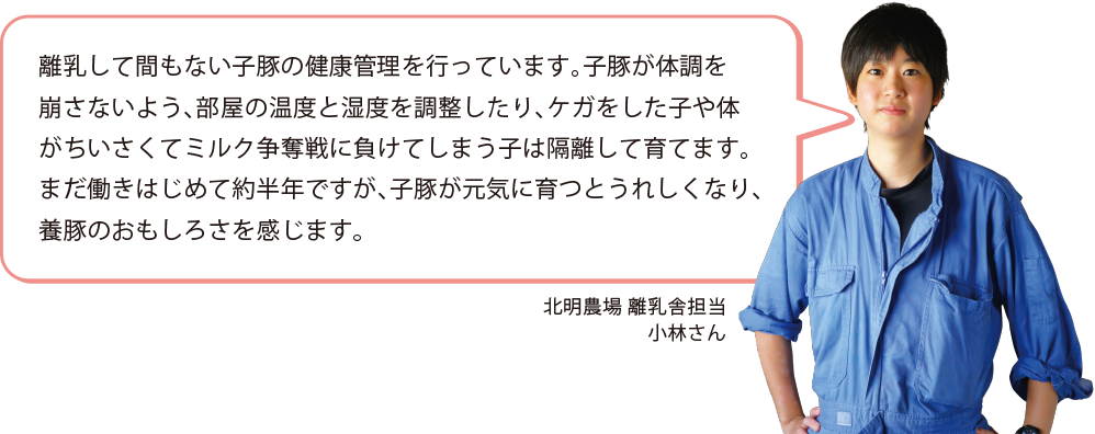 北明農場 離乳舎担当　小林さん